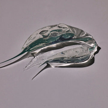 The Glycerin Cleanser